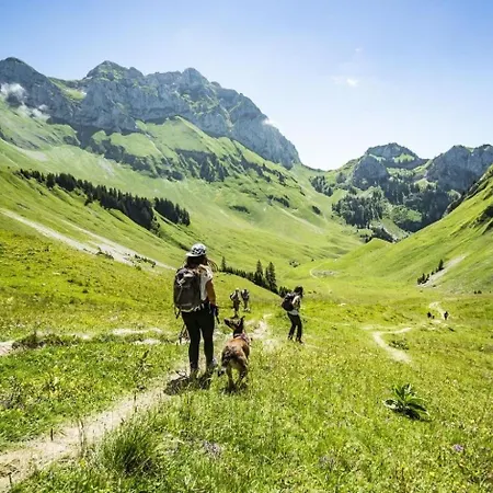 Saint Eloy Cse Cosy & Nature 14 Pers * Chatel