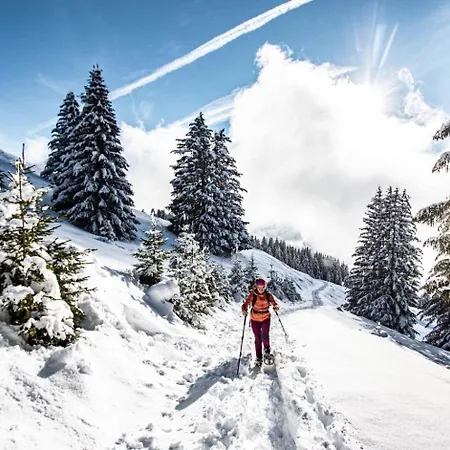 Saint Eloy Cse Cosy & Nature 14 Pers * Chatel